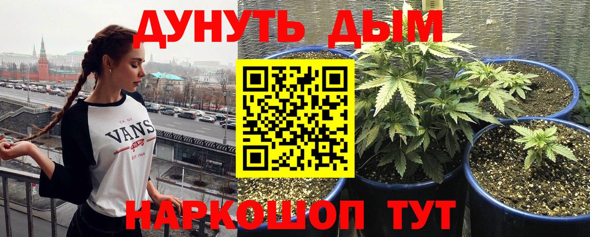 Бошки Шишки LSD WEED  Вход с VPN  Шишки марихуана MAZAR  Губкин 